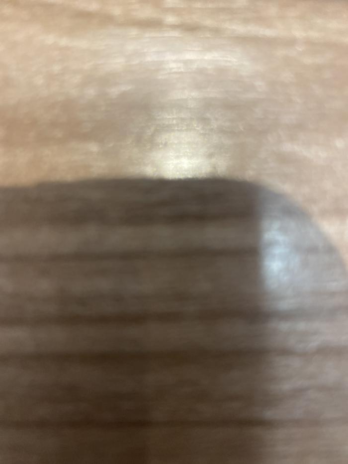 prifile img