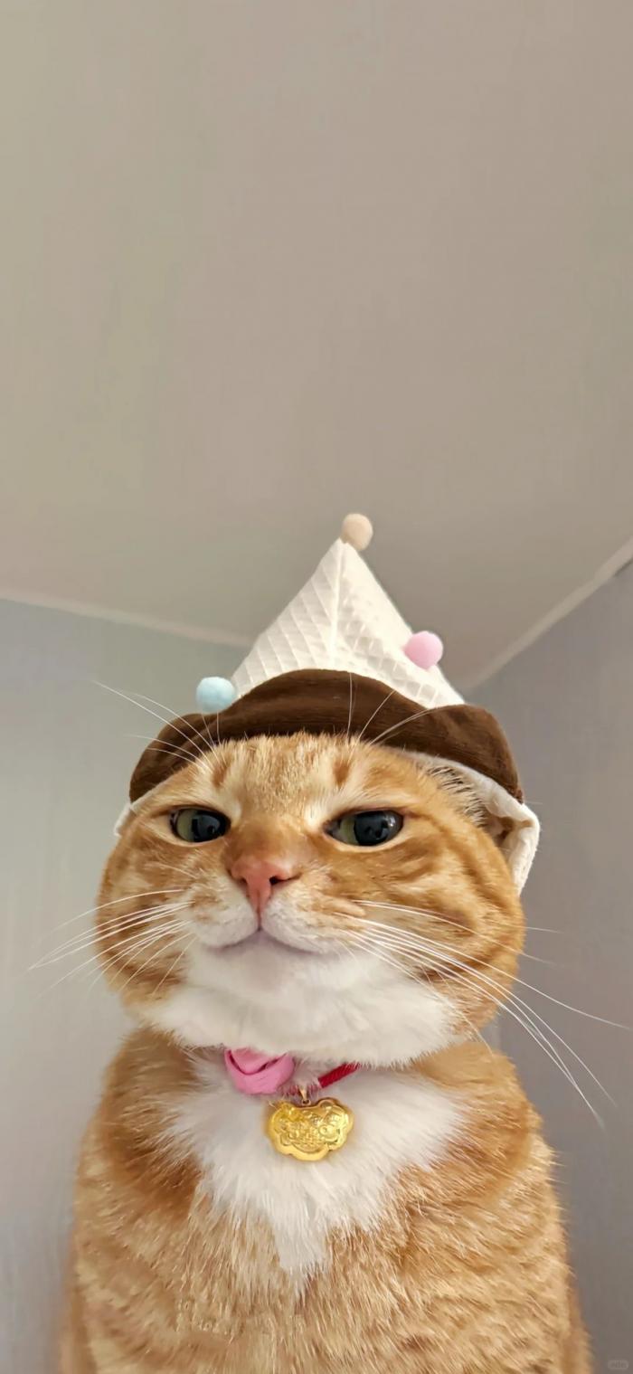 prifile img