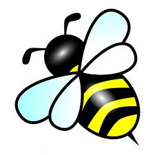 prifile img