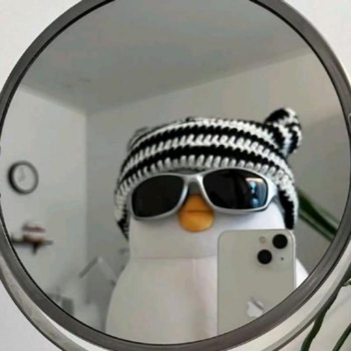 prifile img