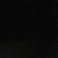 prifile img