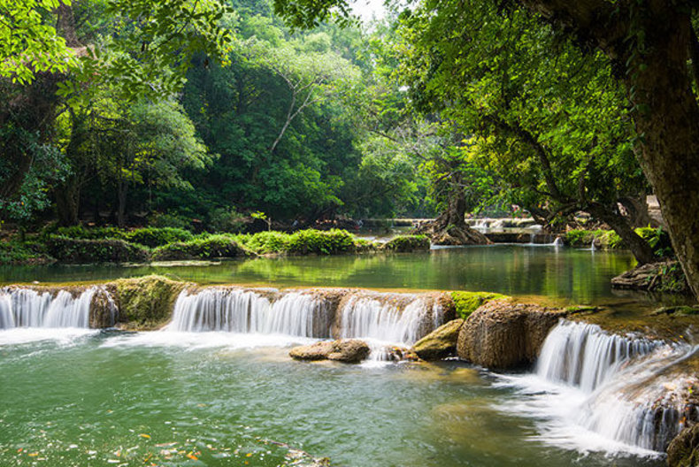 รวมประกาศ ขาย ให้เช่าคอนโด  สระบุรี