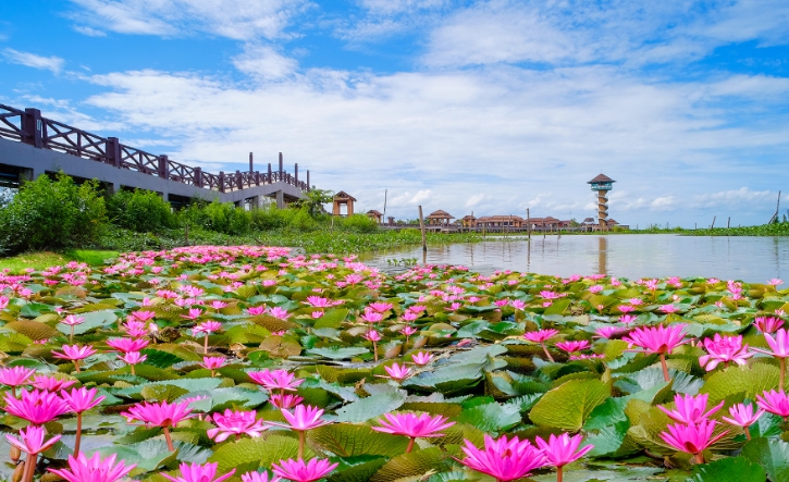 รวมประกาศ ขาย คอนโด บ้าน ที่ดิน พัทลุง