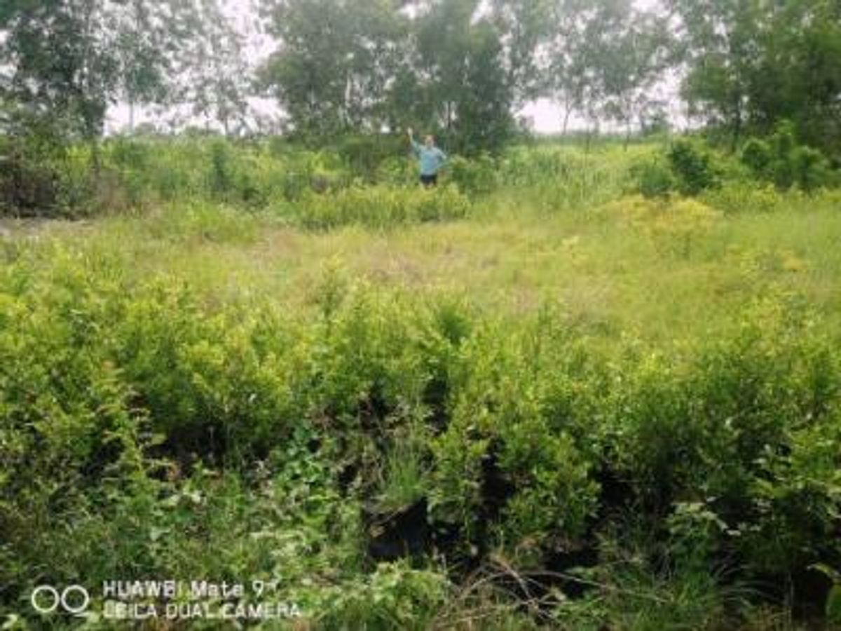 ยะลา : ขายและเช่าพูลวิลล่า