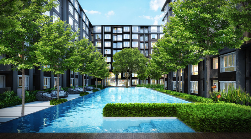 D condo Campus Resort Kuku