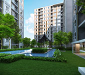 property listing  ดีบุรา พรานนก