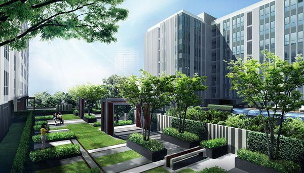 image-preview