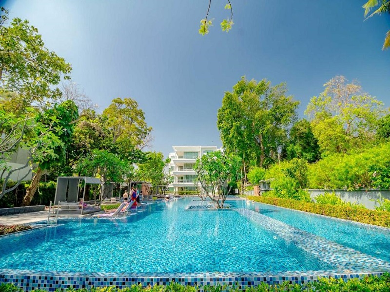 รูปภาพและวิดีโอ