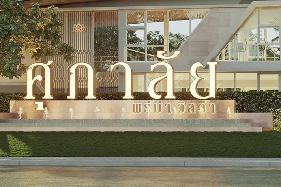 image-preview