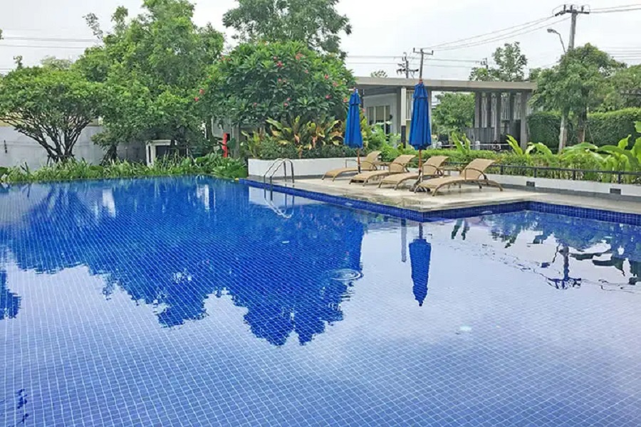 รูปภาพและวิดีโอ