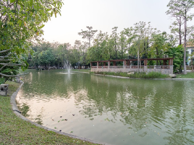 รูปภาพและวิดีโอ