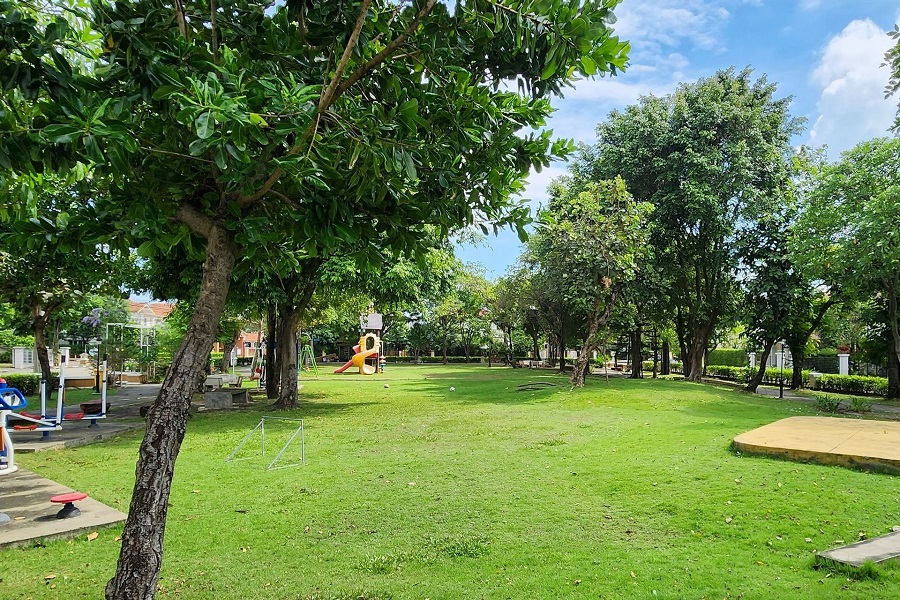 รูปภาพและวิดีโอ