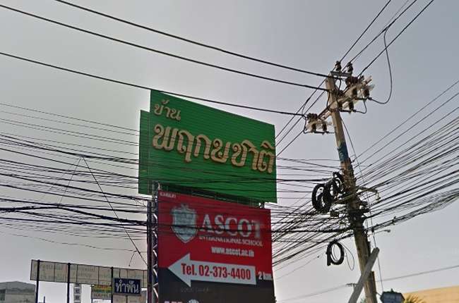รวมประกาศ ให้เช่าบ้านบ้านเดี่ยวบ้านมือสอง พฤกษชาติ รามคำแหง 118