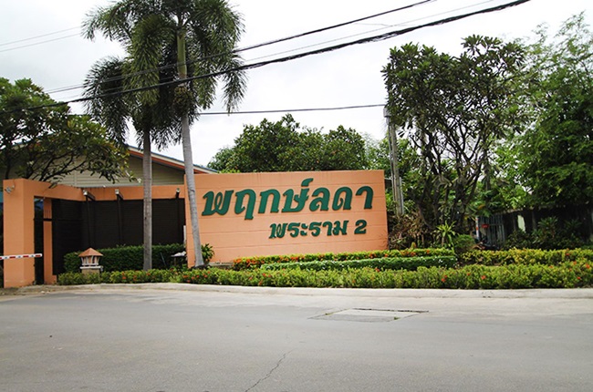 รวมประกาศ ขายบ้านบ้านเดี่ยวบ้านมือสอง พฤกษ์ลดา พระราม 2