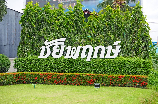 รวมประกาศ ให้เช่าบ้านบ้านเดี่ยวบ้านมือสอง ชัยพฤกษ์ บางคูวัด