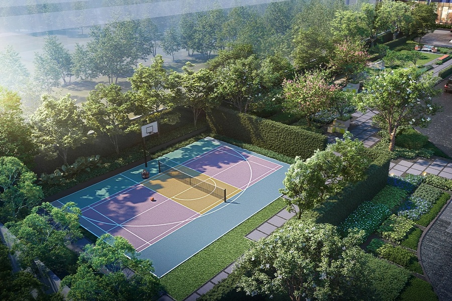 รูปภาพและวิดีโอ