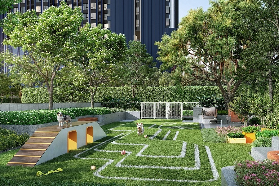 รูปภาพและวิดีโอ