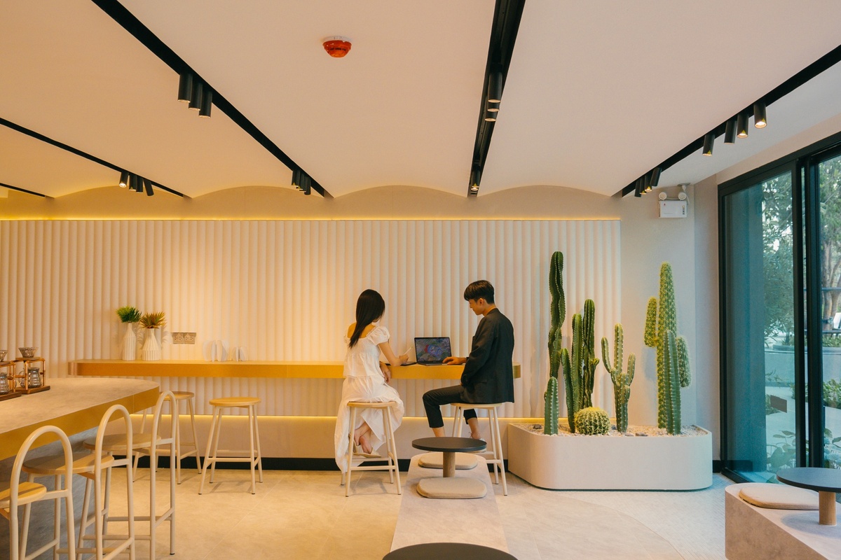 รูปภาพและวิดีโอ