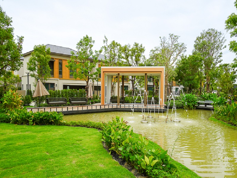 รูปภาพและวิดีโอ