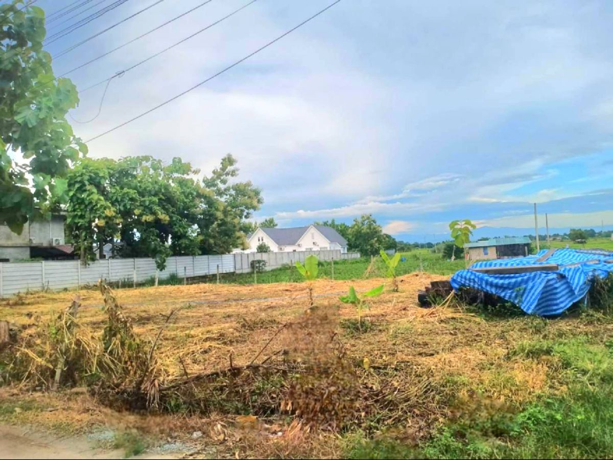 ขายที่ดินเชียงใหม่ : 🎨 ขายด่วน !!! ที่ดินถมแล้ว 100 ตร.ว อำเภอเมืองเชียงใหม่ ใกล้วัดป่าข่อยเหนือ ตำบลสันผีเสื้อ โฉนดครุฑแดง พร้อมโอนทันที !!!