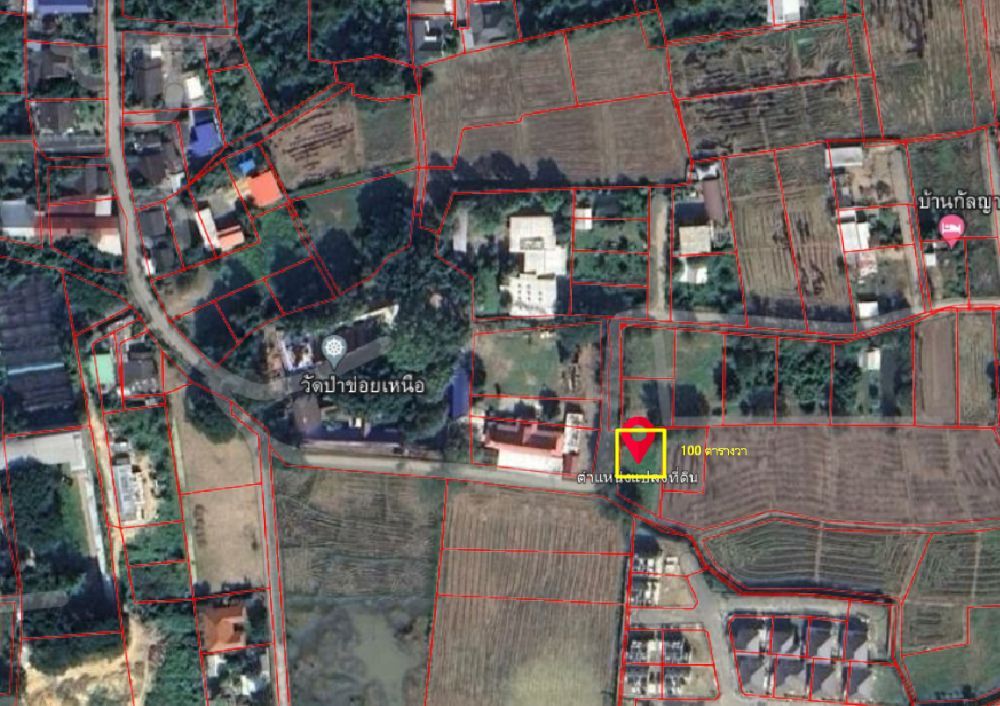ขายที่ดินเชียงใหม่ : 🎨 ขายด่วน !!! ที่ดินถมแล้ว 100 ตร.ว อำเภอเมืองเชียงใหม่ ใกล้วัดป่าข่อยเหนือ ตำบลสันผีเสื้อ โฉนดครุฑแดง พร้อมโอนทันที !!!