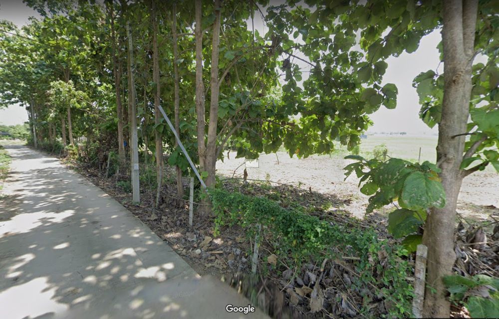 ขายที่ดินเชียงใหม่ : 🎨 ขายด่วน !!! ที่ดินถมแล้ว 100 ตร.ว อำเภอเมืองเชียงใหม่ ใกล้วัดป่าข่อยเหนือ ตำบลสันผีเสื้อ โฉนดครุฑแดง พร้อมโอนทันที !!!