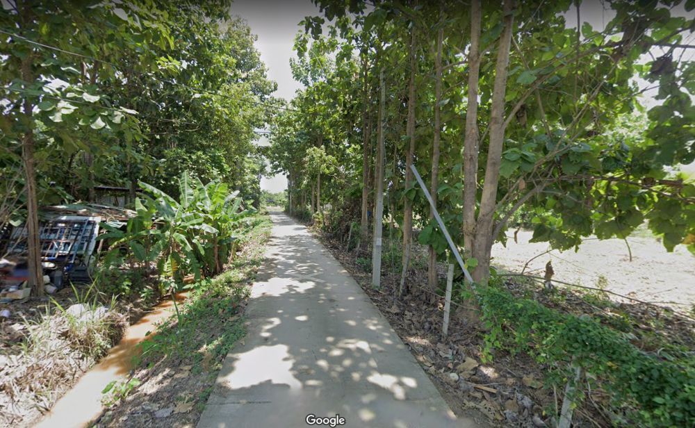 ขายที่ดินเชียงใหม่ : 🎨 ขายด่วน !!! ที่ดินถมแล้ว 100 ตร.ว อำเภอเมืองเชียงใหม่ ใกล้วัดป่าข่อยเหนือ ตำบลสันผีเสื้อ โฉนดครุฑแดง พร้อมโอนทันที !!!