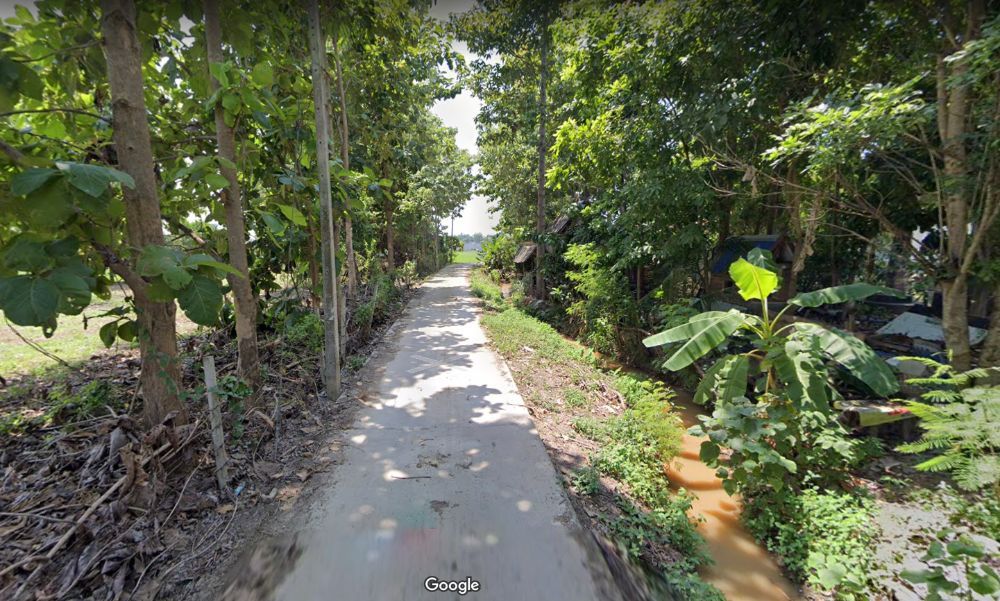 ขายที่ดินเชียงใหม่ : 🎨 ขายด่วน !!! ที่ดินถมแล้ว 100 ตร.ว อำเภอเมืองเชียงใหม่ ใกล้วัดป่าข่อยเหนือ ตำบลสันผีเสื้อ โฉนดครุฑแดง พร้อมโอนทันที !!!