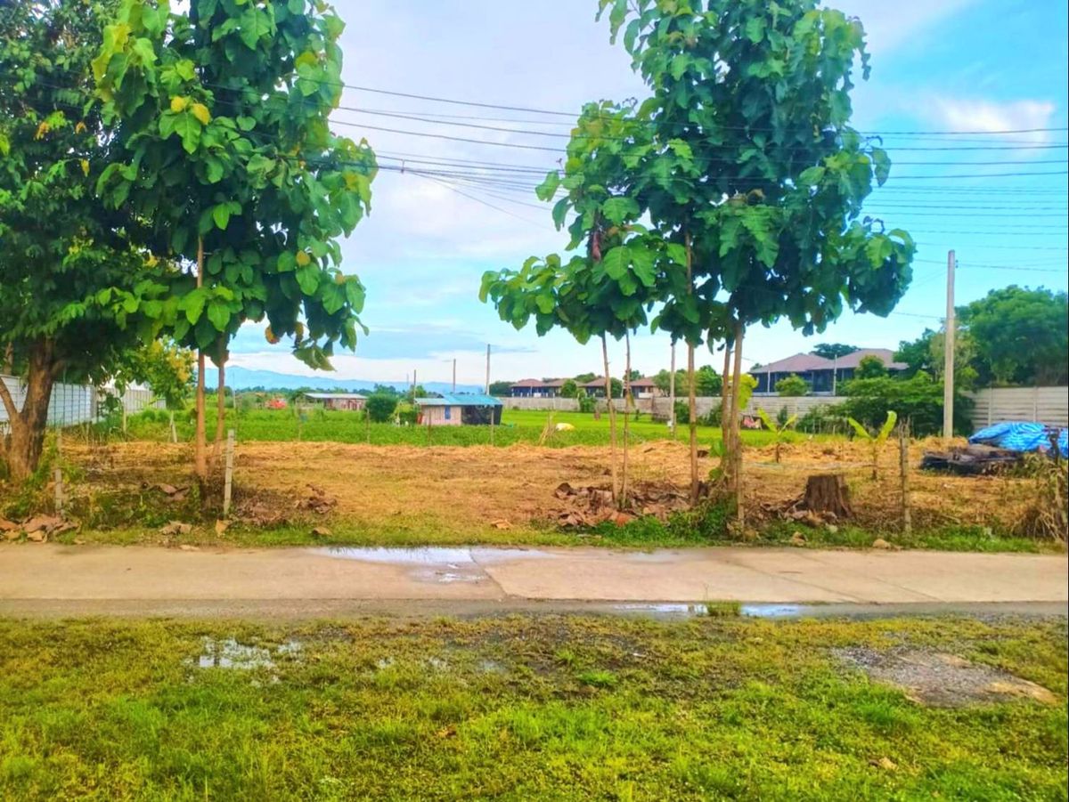 ขายที่ดินเชียงใหม่ : 🎨 ขายด่วน !!! ที่ดินถมแล้ว 100 ตร.ว อำเภอเมืองเชียงใหม่ ใกล้วัดป่าข่อยเหนือ ตำบลสันผีเสื้อ โฉนดครุฑแดง พร้อมโอนทันที !!!