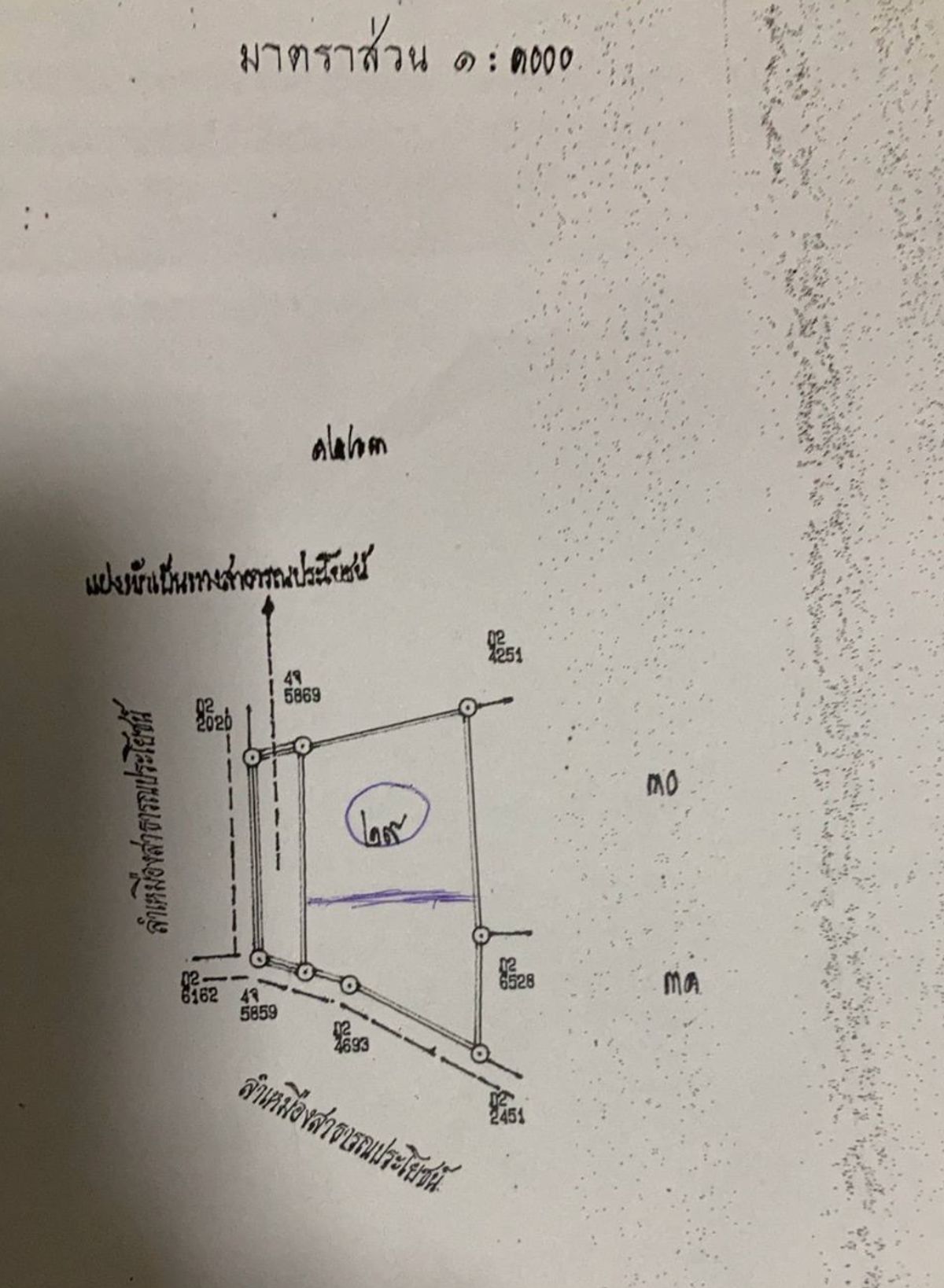 ขายที่ดินเชียงใหม่ : 🎨 ขายด่วน !!! ที่ดินถมแล้ว 100 ตร.ว อำเภอเมืองเชียงใหม่ ใกล้วัดป่าข่อยเหนือ ตำบลสันผีเสื้อ โฉนดครุฑแดง พร้อมโอนทันที !!!