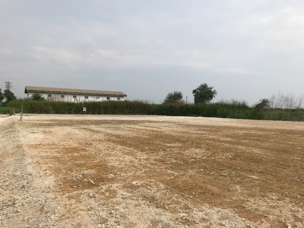 For SaleLandPattanakan, Srinakarin : Urgent sale, land has been filled, 100 square wa., near the new cut road, Krungthep Kreetha near Suvarnabhumi Airport Can enter the motorway Airport Rail Link Station