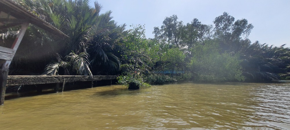 For SaleLandSamut Prakan,Samrong : Owner Post : Sell and rent land in Bang Krachao Next to the Chao Phraya River, very beautiful view, almost 7 rai