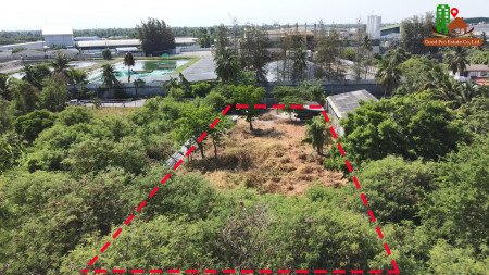 ขายที่ดินพุทธมณฑล ศาลายา : ขาย ที่ดิน ถมแล้ว2 แปลง 415 ตร.ว. กับ 187 ตร.ว. หลังโรงงานดัชมิลล์ 1 ไร่ 45 ตร.วา ติดถนนคอนกรีตกว้าง 8 เมตร