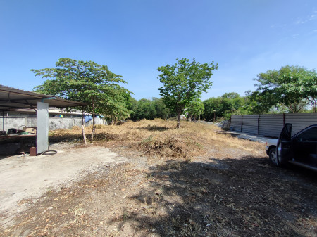 ขายที่ดินพุทธมณฑล ศาลายา : ขาย ที่ดิน ถมแล้ว2 แปลง 415 ตร.ว. กับ 187 ตร.ว. หลังโรงงานดัชมิลล์ 1 ไร่ 45 ตร.วา ติดถนนคอนกรีตกว้าง 8 เมตร