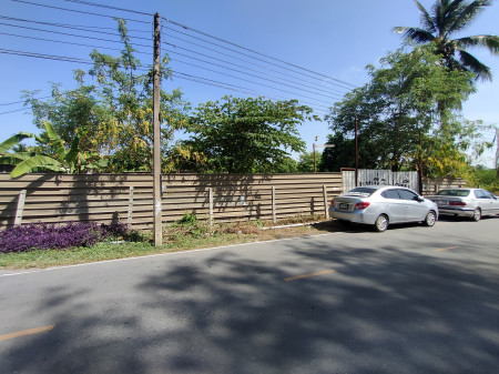 ขายที่ดินพุทธมณฑล ศาลายา : ขาย ที่ดิน ถมแล้ว2 แปลง 415 ตร.ว. กับ 187 ตร.ว. หลังโรงงานดัชมิลล์ 1 ไร่ 45 ตร.วา ติดถนนคอนกรีตกว้าง 8 เมตร