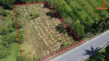 ขายที่ดินพุทธมณฑล ศาลายา : ขาย ที่ดิน ถมแล้ว2 แปลง 415 ตร.ว. กับ 187 ตร.ว. หลังโรงงานดัชมิลล์ 1 ไร่ 45 ตร.วา ติดถนนคอนกรีตกว้าง 8 เมตร