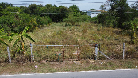 ขายที่ดินพุทธมณฑล ศาลายา : ขาย ที่ดิน ถมแล้ว2 แปลง 415 ตร.ว. กับ 187 ตร.ว. หลังโรงงานดัชมิลล์ 1 ไร่ 45 ตร.วา ติดถนนคอนกรีตกว้าง 8 เมตร