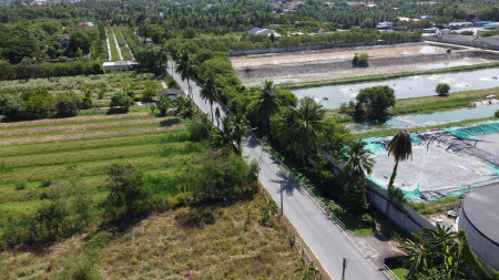 ขายที่ดินพุทธมณฑล ศาลายา : ขาย ที่ดิน ถมแล้ว2 แปลง 415 ตร.ว. กับ 187 ตร.ว. หลังโรงงานดัชมิลล์ 1 ไร่ 45 ตร.วา ติดถนนคอนกรีตกว้าง 8 เมตร