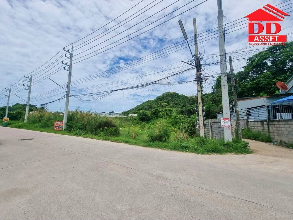 ขายที่ดินหัวหิน ประจวบคีรีขันธ์ : ขายที่ดินเปล่า ซอยหัวหิน 91 เพียง 100 เมตร ถึงปากซอย ทำเลดีเหมาะสำหรับสร้าง พูลวิลล่าศูนย์การค้า คอนโดมิเนียม โรงแรม บ้านจัดสรร รีสอร์ท