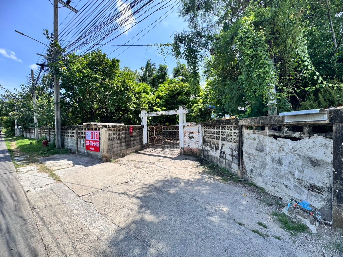 For SaleLandRama3 (Riverside),Satupadit : Land for sale at Wat Phai Ngein Chotanaram, good price, beautiful land, area 1 rai 3 ngan 78.6 square wa.