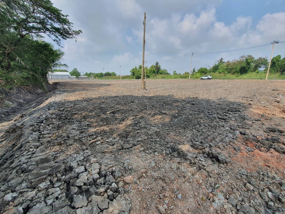 For RentLandMin Buri, Romklao : Land for rent, area 4, 8 rai, Suwinthawong 90, Ruampatana , Nong Chok.