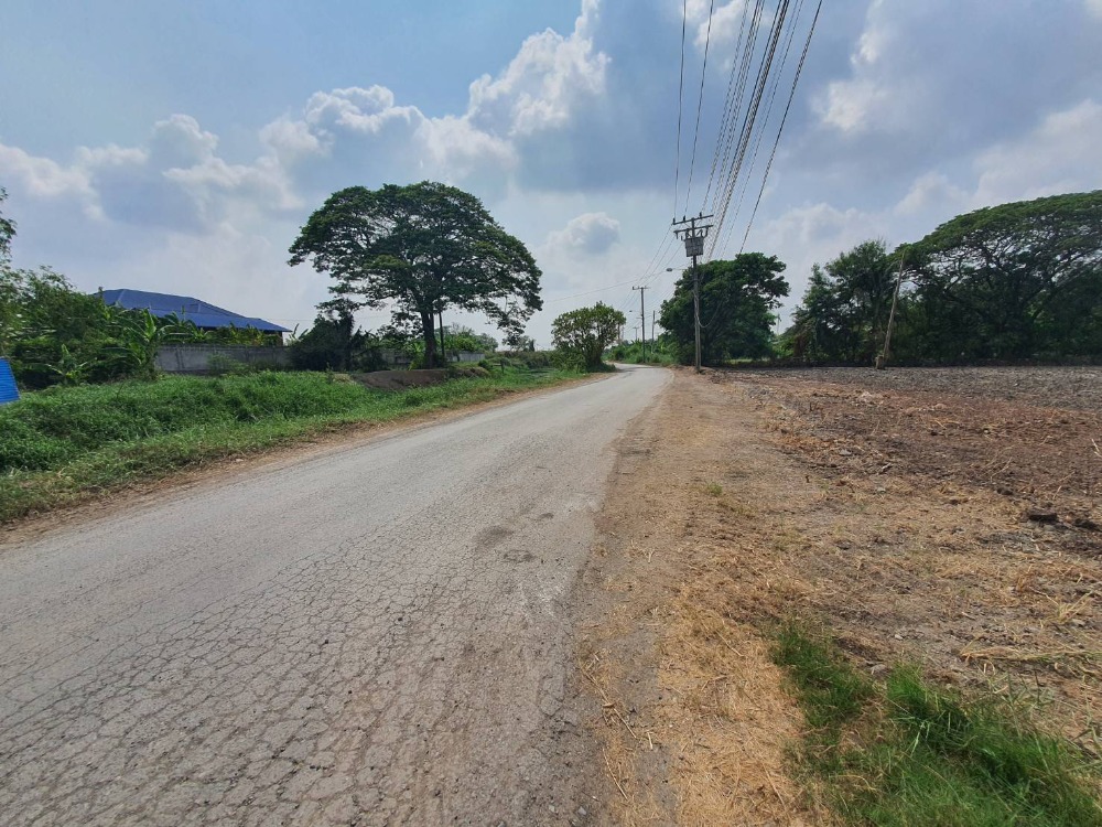 For RentLandMin Buri, Romklao : Land for rent, area 4, 8 rai, Suwinthawong 90, Ruampatana , Nong Chok.
