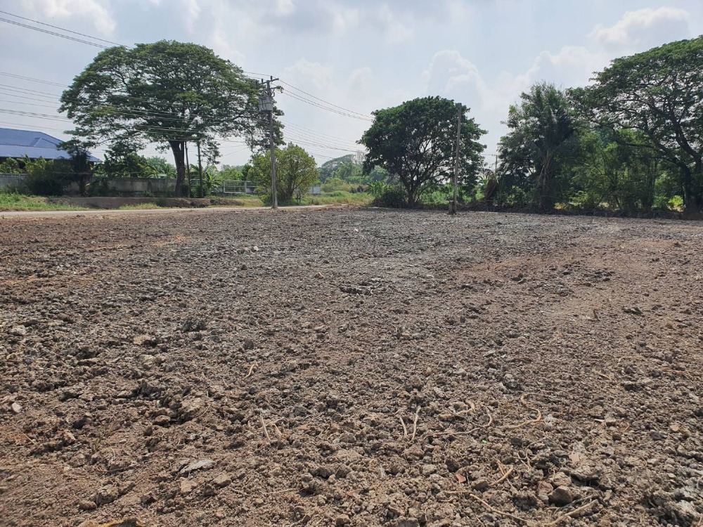 For RentLandMin Buri, Romklao : Land for rent, area 4, 8 rai, Suwinthawong 90, Ruampatana , Nong Chok.