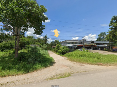 For SaleLandChumphon : Land for sale in Tha Sae, Chumphon, near Petchkasem Road, 17-1-34 rai, suitable for allocating resorts, orchards, tourist attractions