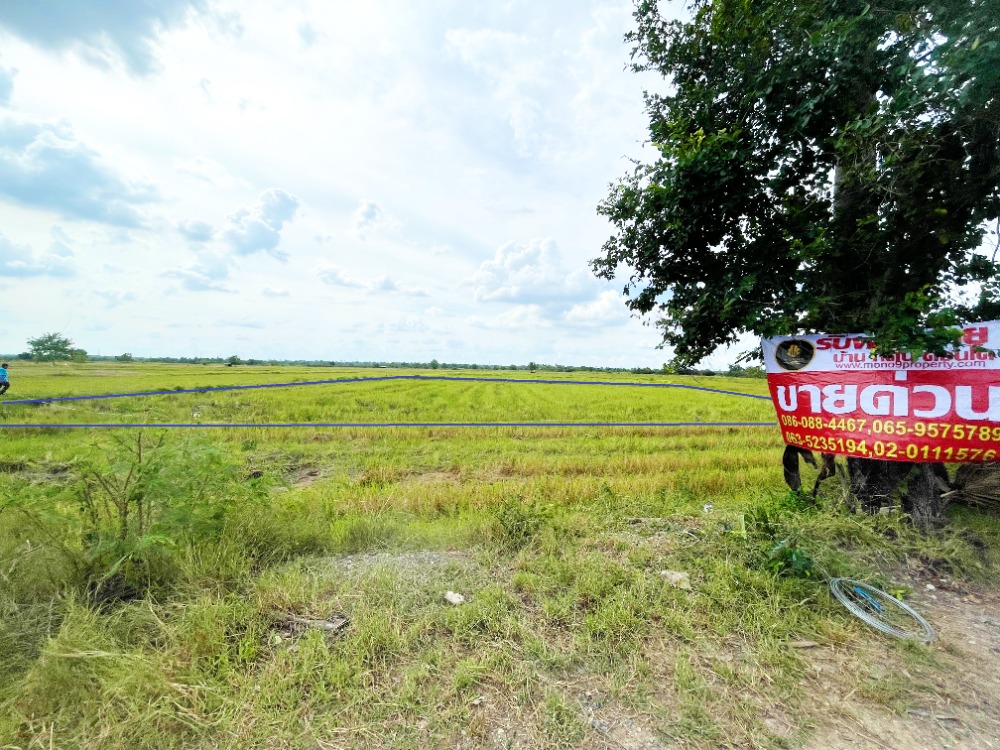 ขายที่ดินโคราช นครราชสีมา : ขายด่วน ที่นามีโฉนด 1-1-68 ไร่ พลกรัง อำเภอเมืองนครราชสีมา