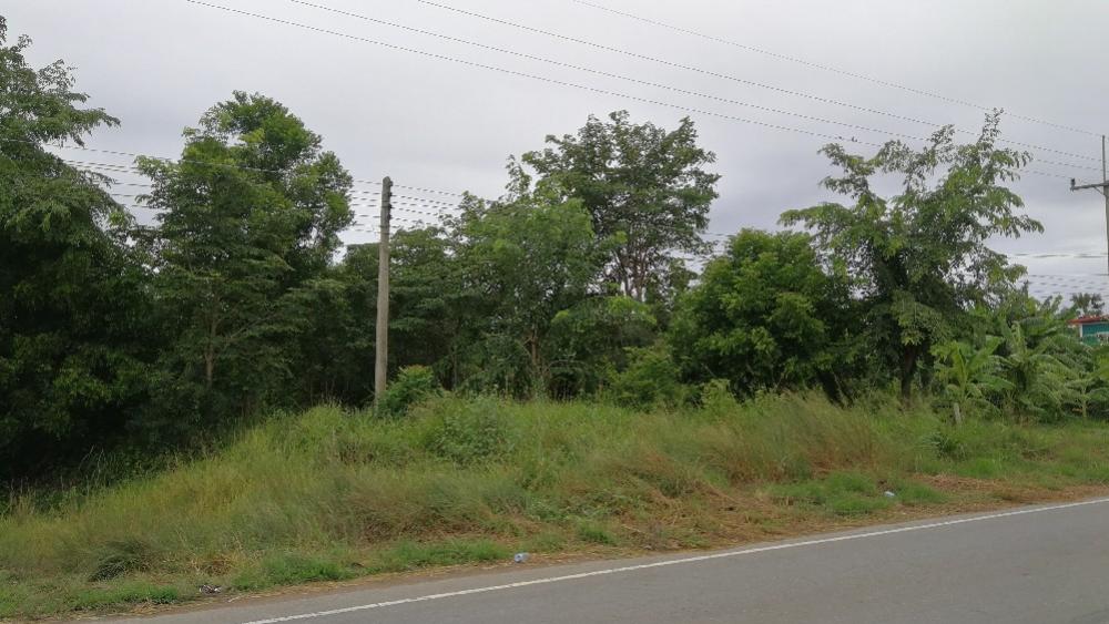 ขายที่ดินสุพรรณบุรี : ขายด่วนที่ดินสุพรรณบุรี 4ไร่  อ.หนองหญ้าไซ ติดถนน แบ่งขาย