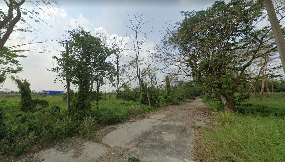 ขายที่ดินปทุมธานี รังสิต ธรรมศาสตร์ : ขาย ที่ดิน 66 ตร.วา คลอง 8 อ.ธัญบุรี ปทุมธานี แปลงจัดสรร (รังสิตการ์เด้น) ห่างจาก ถ. รังสิต-นครนายก เพียง 750 ม.