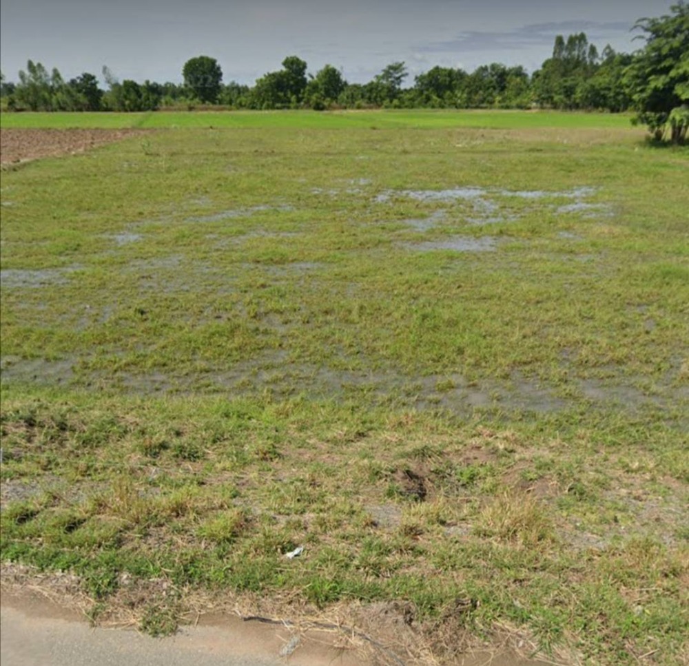 ขายที่ดินสุพรรณบุรี : ขายด่วนที่ดินสุพรรณบุรี 4ไร่  อ.หนองหญ้าไซ ติดถนน แบ่งขาย