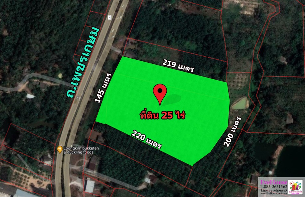 For SaleLandChumphon : Land for sale in Chumphon, on Petchkasem Road. Chumphon, 25 rai, 145 m. wide, beautiful plot , near Pathomphon Intersection.