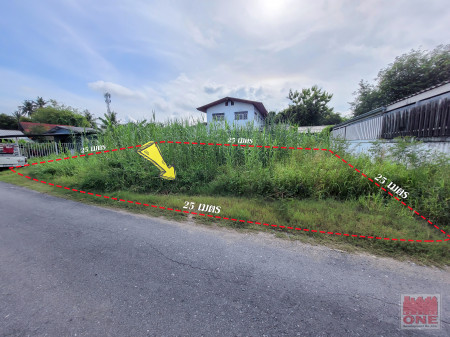 ขายที่ดินบางแค เพชรเกษม : ขาย ที่ดิน เหมาะสร้างบ้าน เลียบคลองภาษีฯฝั่งเหนือ 149 ตร.วา ใกล้ ม.อรุณทอง2